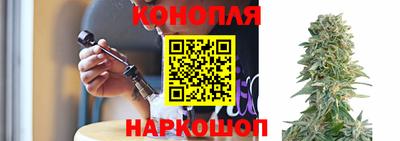 СК Заводоуковск