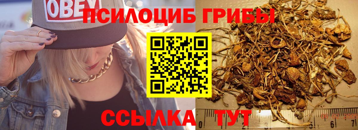 Псилоцибиновые грибы Psilocybe  Вход с VPN  Славянск-на-Кубани 