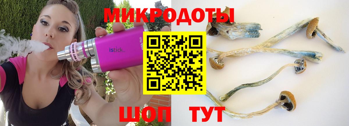 Псилоцибиновые грибы MAGIC MUSHROOMS Славянск-на-Кубани