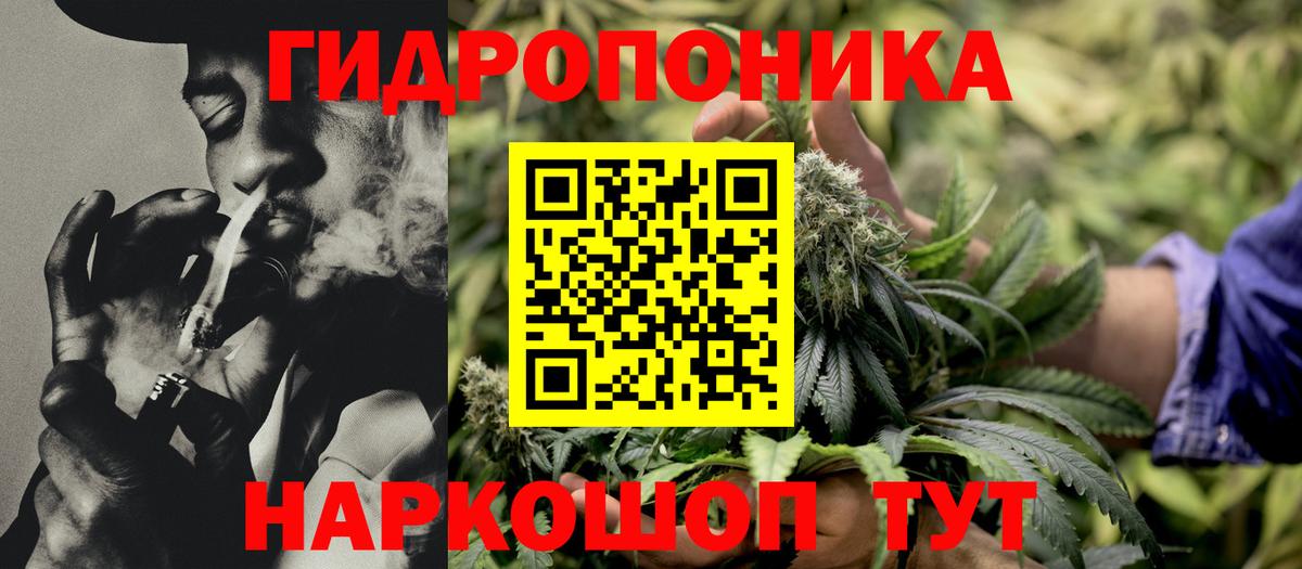 Каннабис семена  Вход с VPN  Славянск-на-Кубани  Марихуана Amnesia  Бошки Шишки Ganja  Шишки марихуана THC 21% 